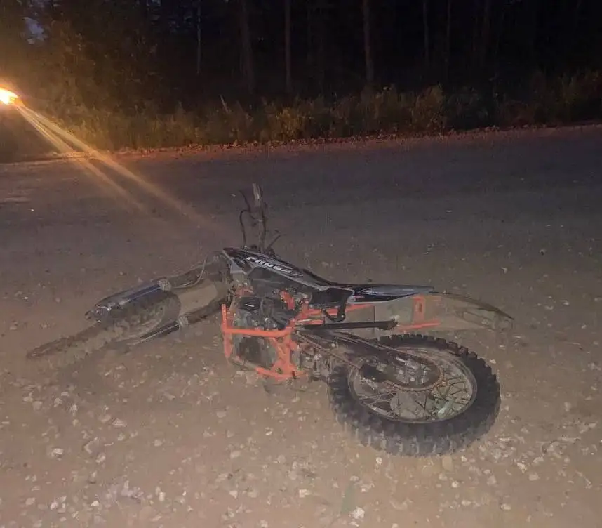 Фото: t.me/gibdd124