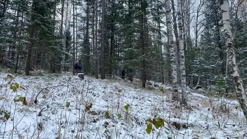 Опыт поиска семьи Усольцевых поможет усовершенствовать методики спасения людей в Красноярском крае