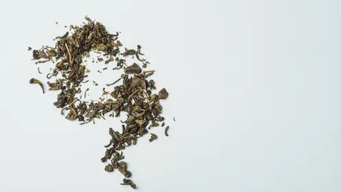 Новосибирские таможенники изъяли более 400 кг насвая у авиапассажиров