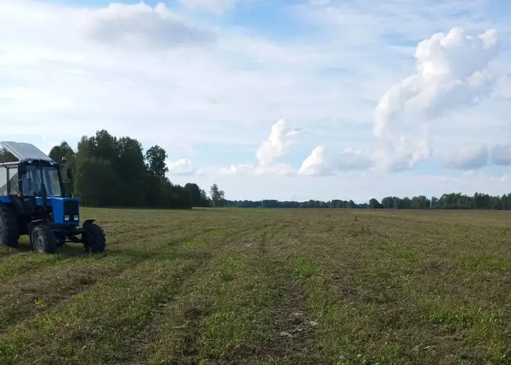 В Красноярском крае вовлечено в сельхозоборот около 230 га ранее неиспользуемых земель