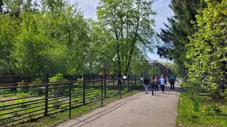 Единственный в России сельский зоопарк отметил 40‑летие в Омской области