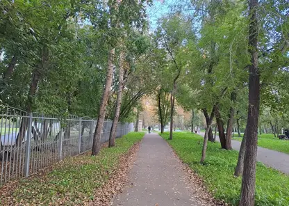 Дождливая и прохладная погода ждет красноярцев 14 сентября