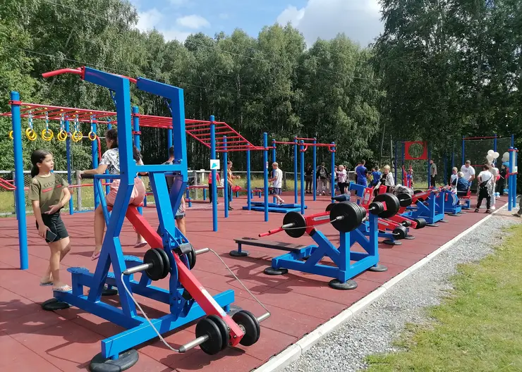 Мэр Красноярска Владислав Логинов высказался о реконструкции спортивных площадок