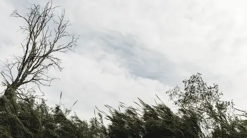 Сильный ветер обещают в Красноярском крае 9 апреля