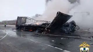 В Новосибирской области погиб один человек в аварии с тремя грузовиками