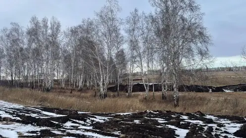 Экс-глава сельсовета в Красноярском крае получил 6 лет колонии за махинации с землей на полмиллиарда рублей