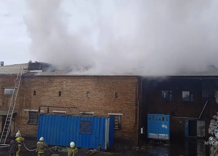 За сутки в Красноярском крае потушили 8 пожаров