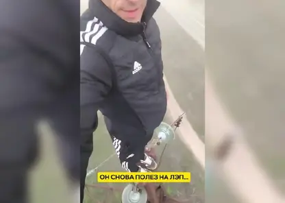 Дальневосточный «человек-паук» забрался на опору ЛЭП, чтобы перекусить бананом