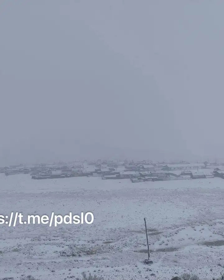 Фото: Подслушка | ЧП Тыва Кызыл / тг