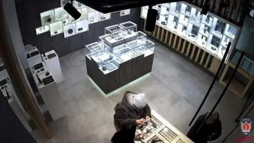 Красноярка украла драгоценностей и продуктов на 2,5 миллиона