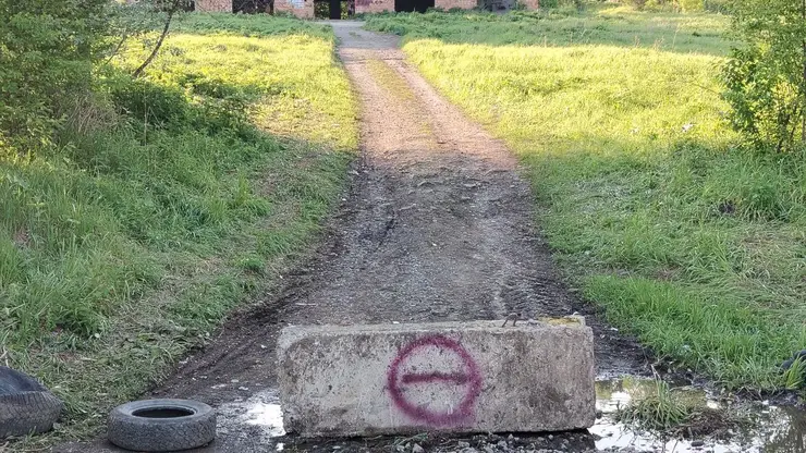 С детьми и с битами. Жители деревни под Ачинском устроили охоту на наркоманов и выслеживают их