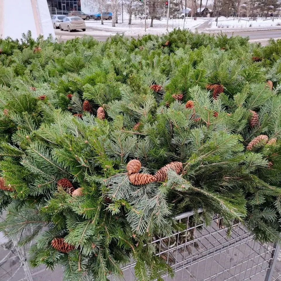 Фото: sibnovosti.ru