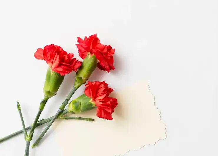 Акция «Бессмертный полк» в Омске пройдет в очном формате