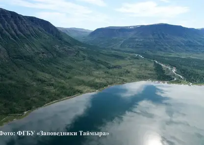 Жителя Красноярского края оштрафовали за запуск квадрокоптера над Путоранским заповедником