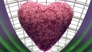 Что подарить на 14 февраля? Идеи для Красноярцев, которые хотят удивить свою половинку