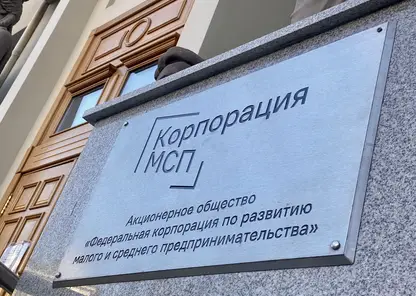 Корпорация МСП упростит бизнесу доступ к кредитам на 40 млрд рублей
