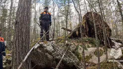 Пропавшую семью в Партизанском районе ищут с помощью беспилотников