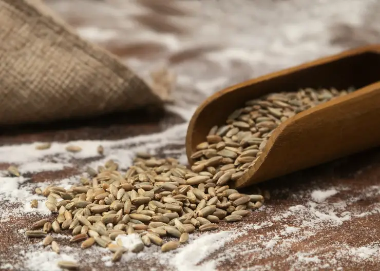 Киргизия почти вдвое увеличила закупки зерна и продуктов переработки из Алтайского края