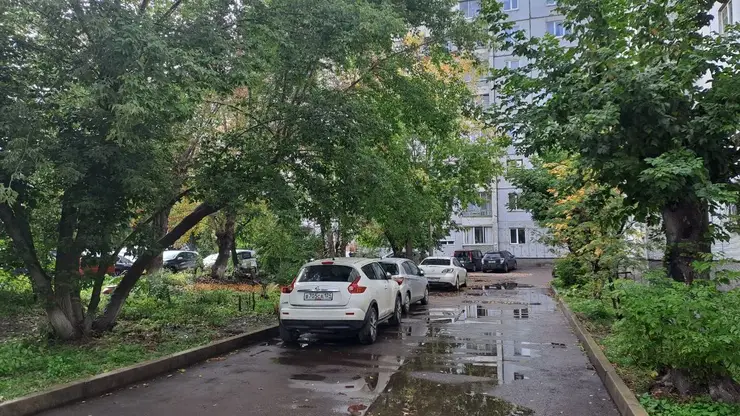 В Новосибирске мошенники под видом перевозчиков угоняли машины клиентов и продавали их по заниженным ценам