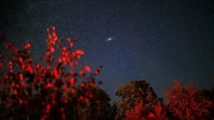 Гороскоп на 11 июля