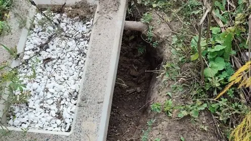 На Шинном кладбище в Красноярске собаки разрывают могилы