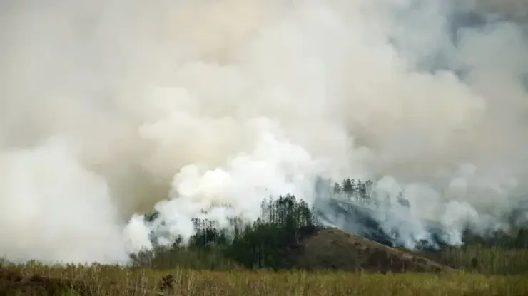 Площадь лесных пожаров в Красноярском крае за сутки сократилась почти в два раза до 2,1 тысячи гектаров