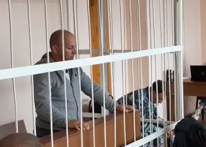 В Красноярском крае полицейского обвиняют в незаконной вырубке леса на 11 млн рублей