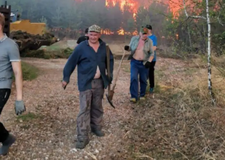 Жители и сотрудники МЧС спасли от огня территорию СНТ в Емельяновского районе