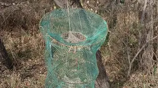 В Амурской области пресекли незаконную добычу птиц с помощью сетей