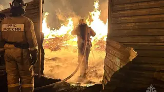 Огнеборцы локализовали пожар в Емельяновском районе на площади 2000 кв.м