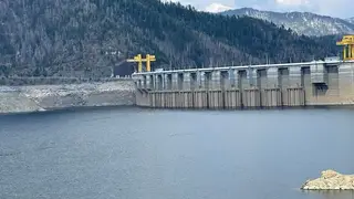 Медведя заметили у Саяно-Шушенской ГЭС (видео)