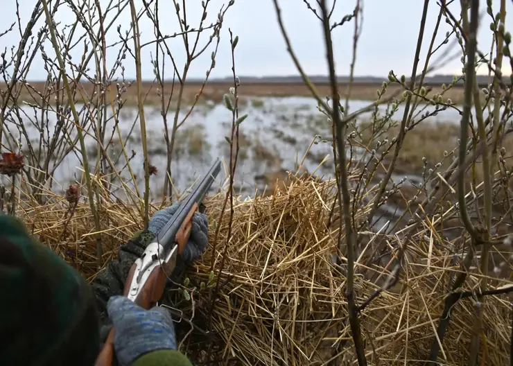 В Бурятии охотники нашли медведя убитого другим медведем