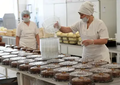 В красноярских тортах нашли кишечную палочку, дрожжи и плесень