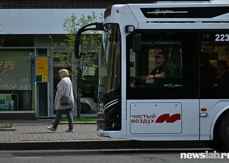 Парилка, неудобные маршруты и цены: за что красноярцы критикуют общественный транспорт?