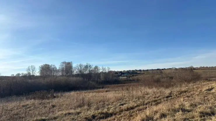 Бастрыкин потребовал доклад по делу о смерти 10-летнего мальчика под Красноярском