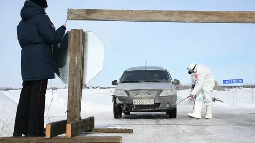 126 семей получили выплаты за изъятый скот при пастереллезе в Новосибирской области