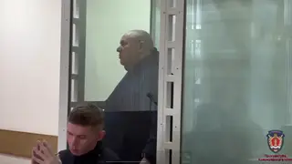 Экс-главу посёлка Емельяново под Красноярском арестовали за незаконную продажу леса