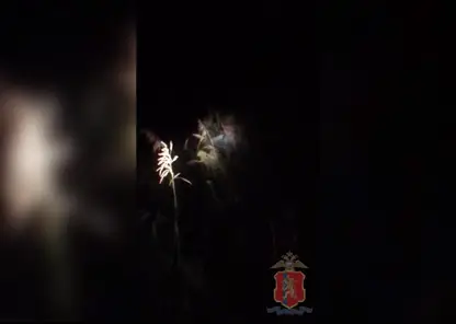 Пенсионерку и мужчину спасли в лесу полицейские в Красноярском крае