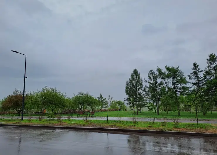 О грозах и шквалистом ветре предупреждают жителей края