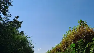 Без бабьего лета? Какой будет погода в Красноярске в сентябре Без бабьего лета? Какой будет погода в Красноярске в сентябре