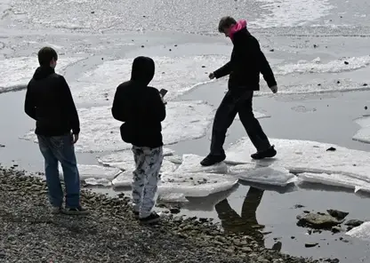 258 подростков задержали за кражи и грабежи в Новосибирской области