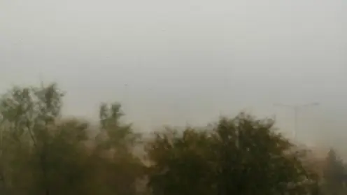 Сильный ветер, туман и гололедица ожидаются в Красноярском крае 18 октября