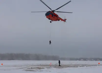 Красноярский край добился снижения количества лесных пожаров по вине человека