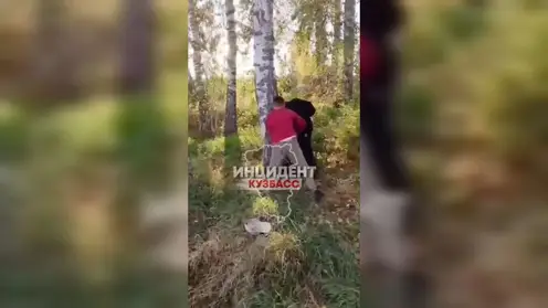 Подростки избили сверстника в кузбасском лесу