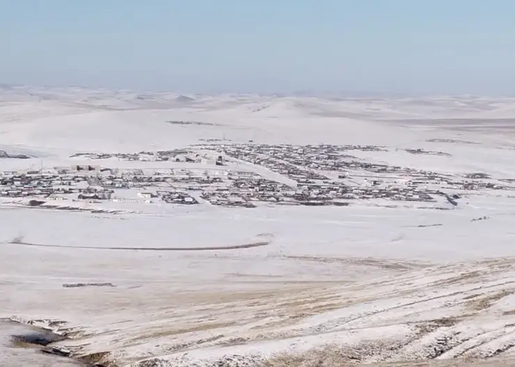 В Забайкалье введен режим ЧС из-за вспышки пастереллёза у скота