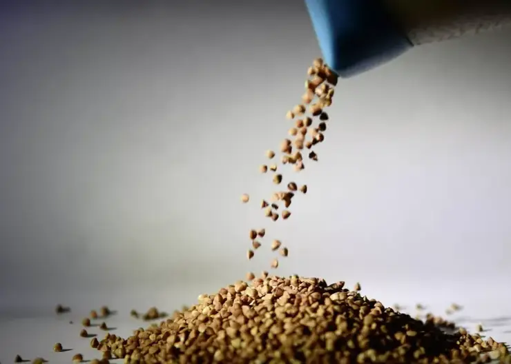 В Омской области распространяют фейковый указ губернатора о лимите на гречку