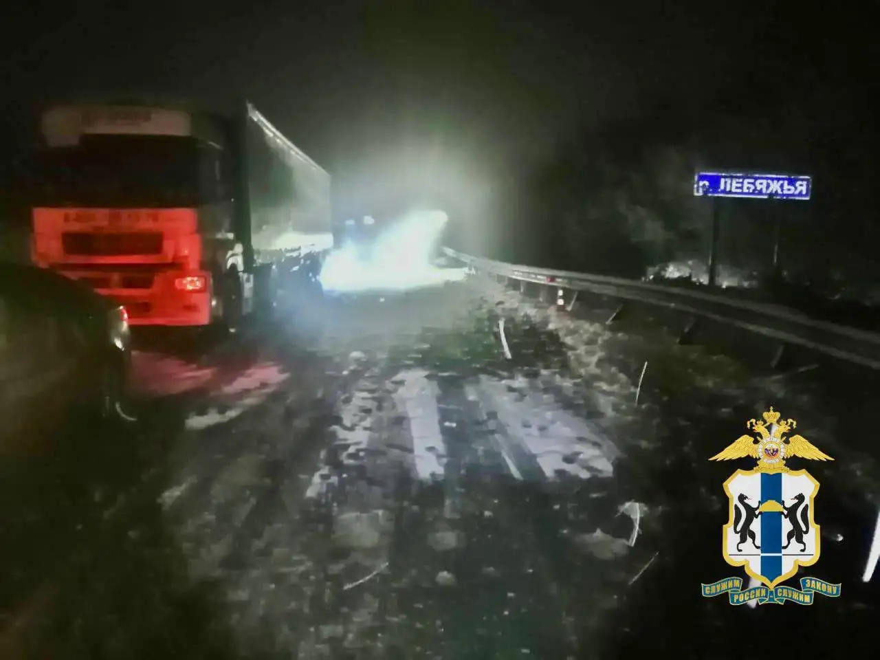 Фото: ГУ МВД по Новосибирской области