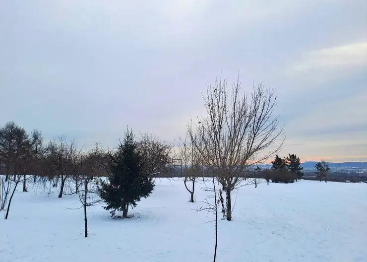 Сильный ветер прогнозируют в Красноярске 8 января