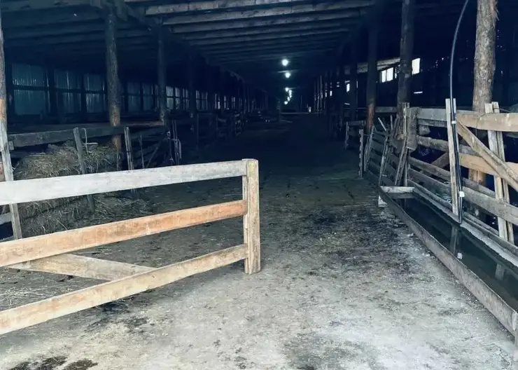 Россельхознадзор выявил ряд ветеринарных нарушений у хакасских фермеров