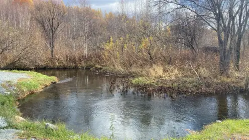 «Дикое место с банькой»:  пропавшая семья в горах Красноярском края делилась деталями предстоящей поездки